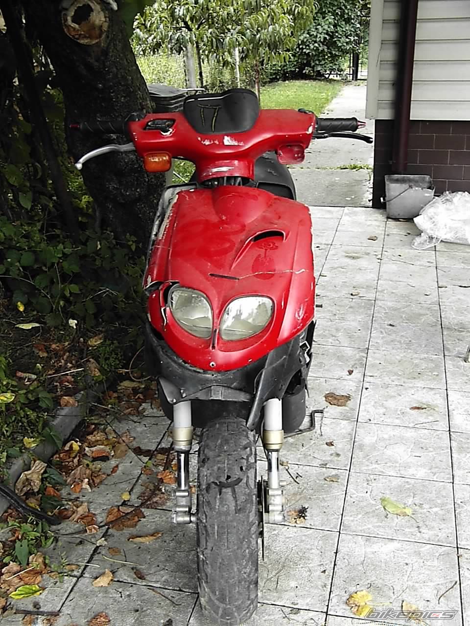 Photo 835319