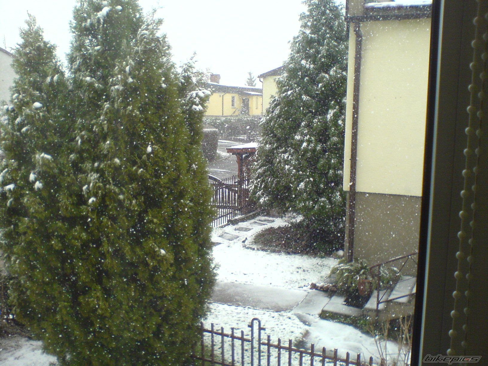 Photo 835451