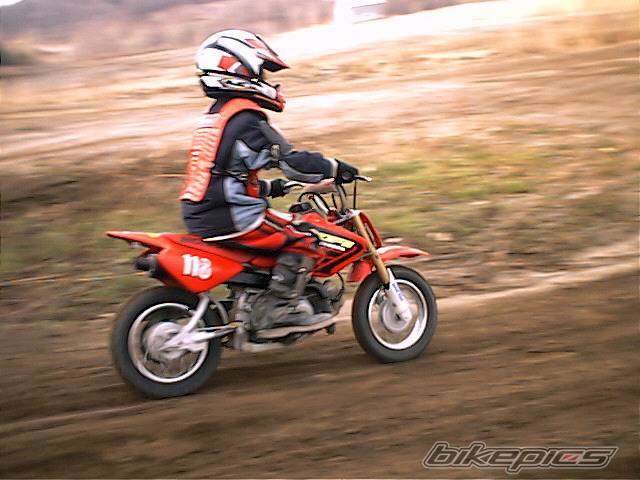 Photo 83586