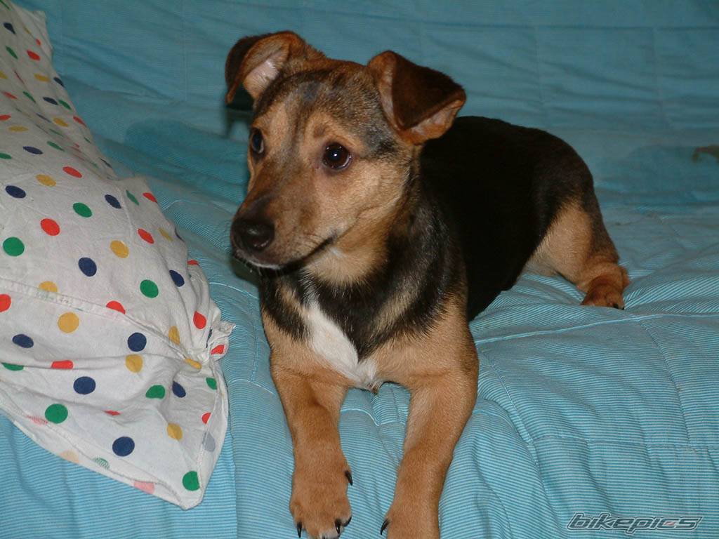 Photo 83624