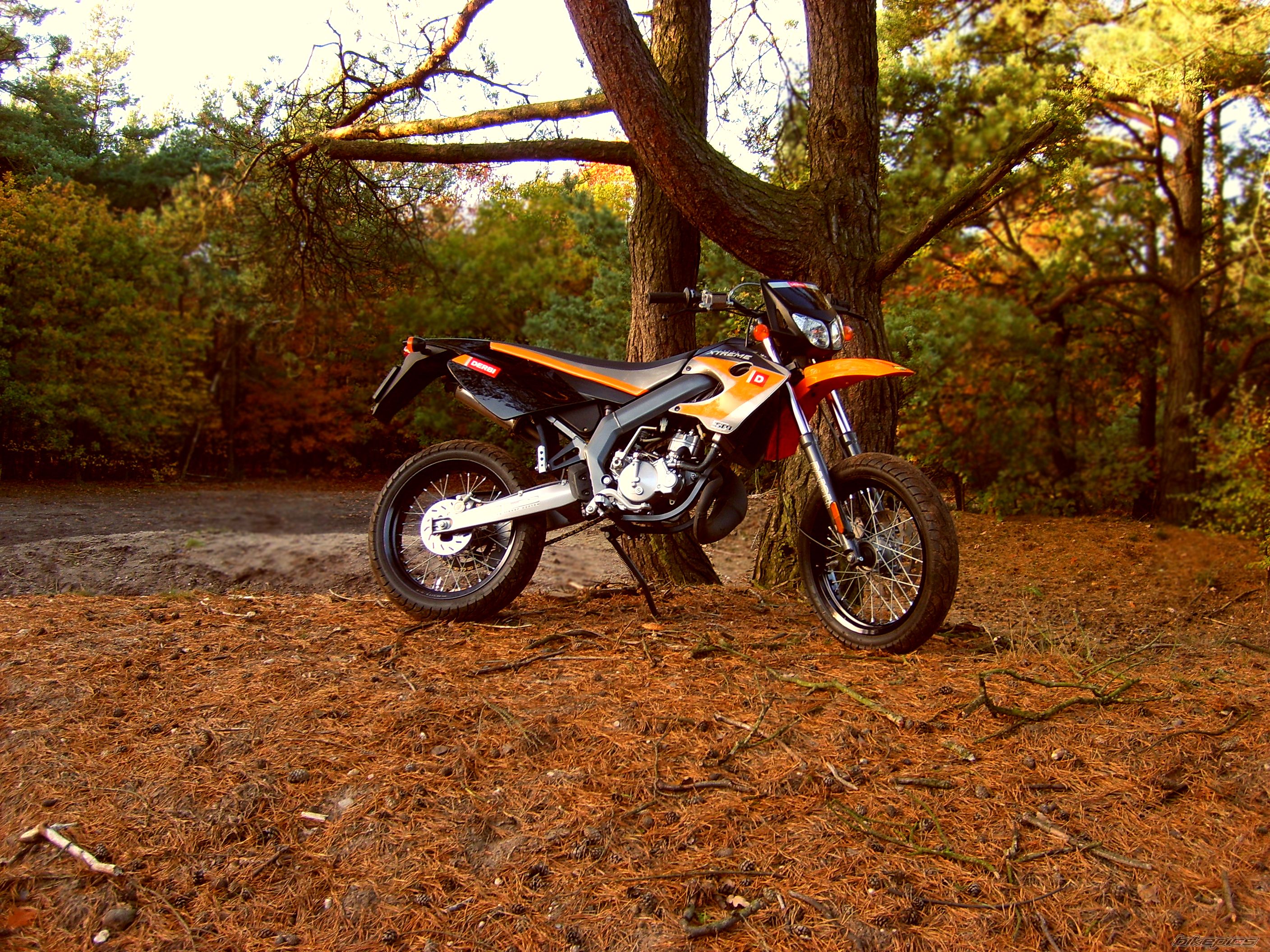 Bike Photo 836418
