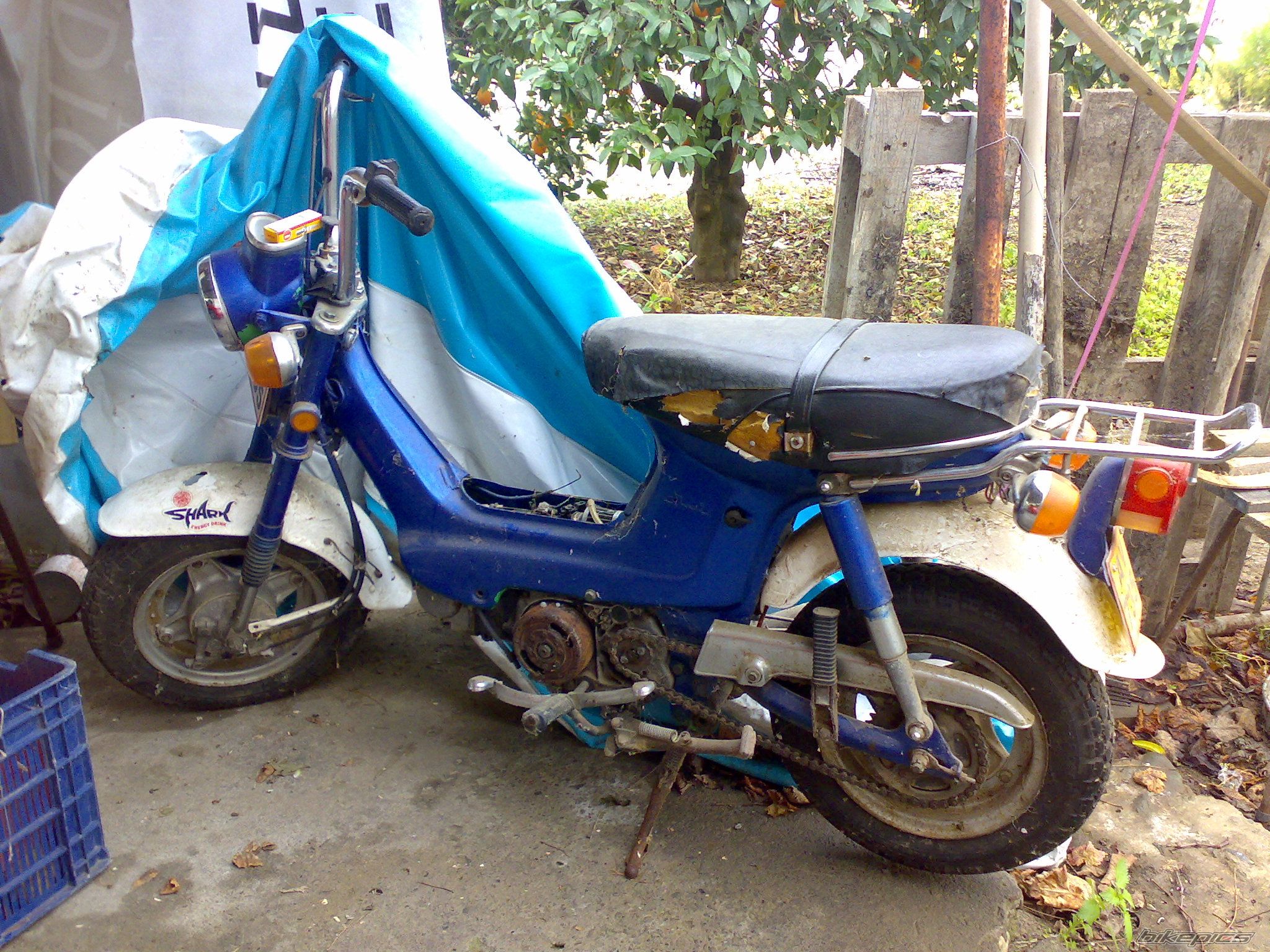 Photo 836617