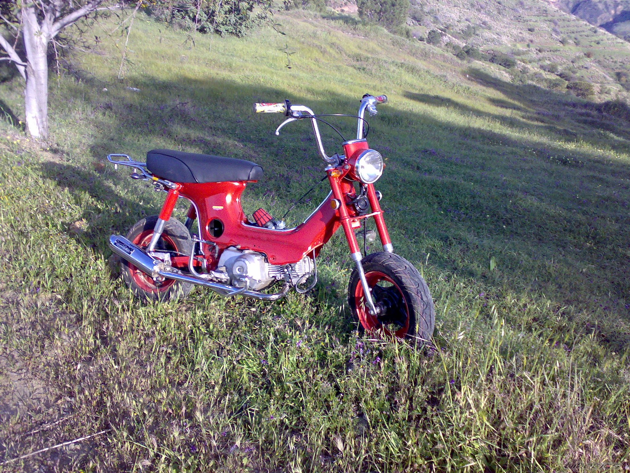 Photo 836726