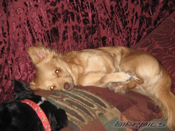 Photo 837163