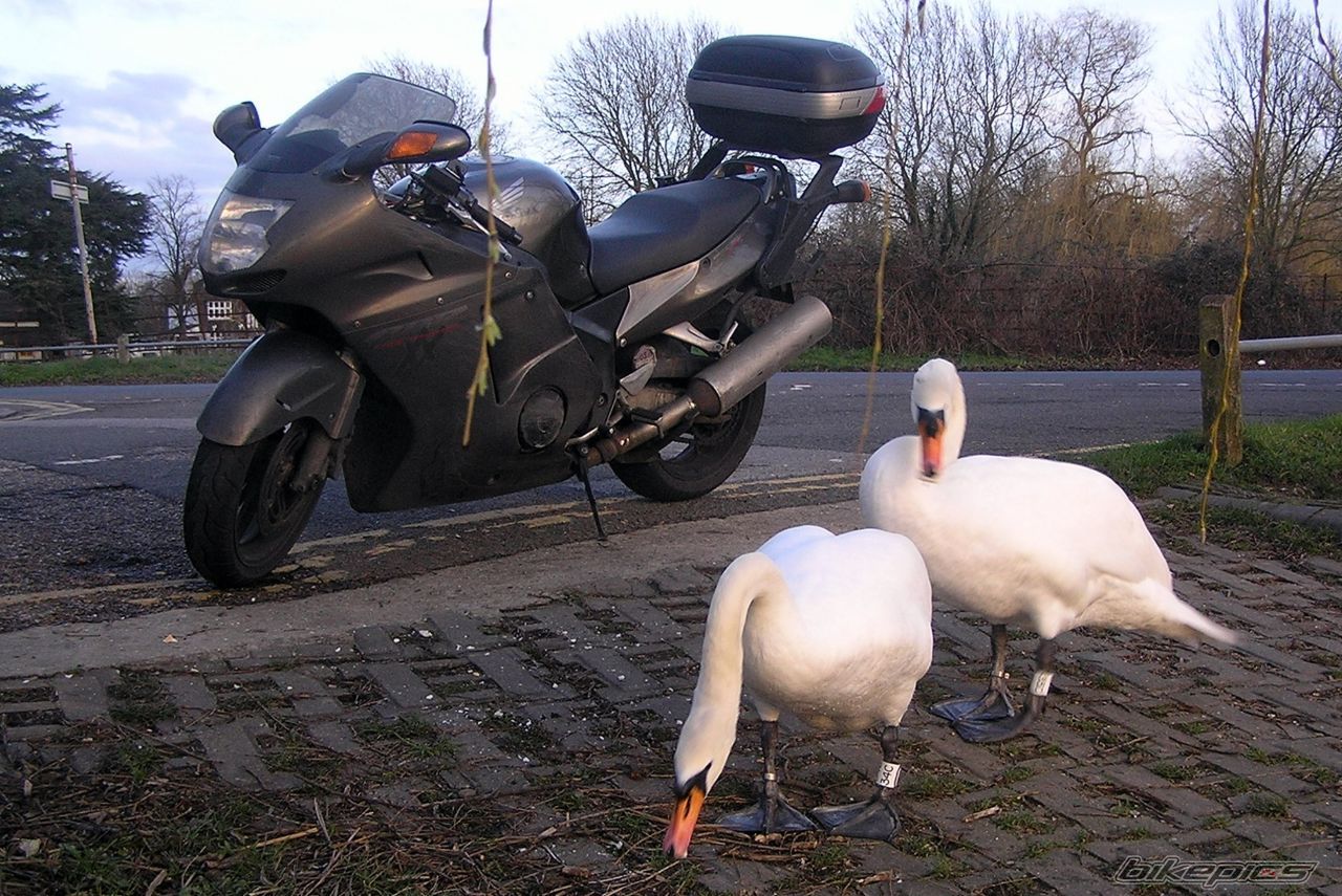Bike Photo 837954