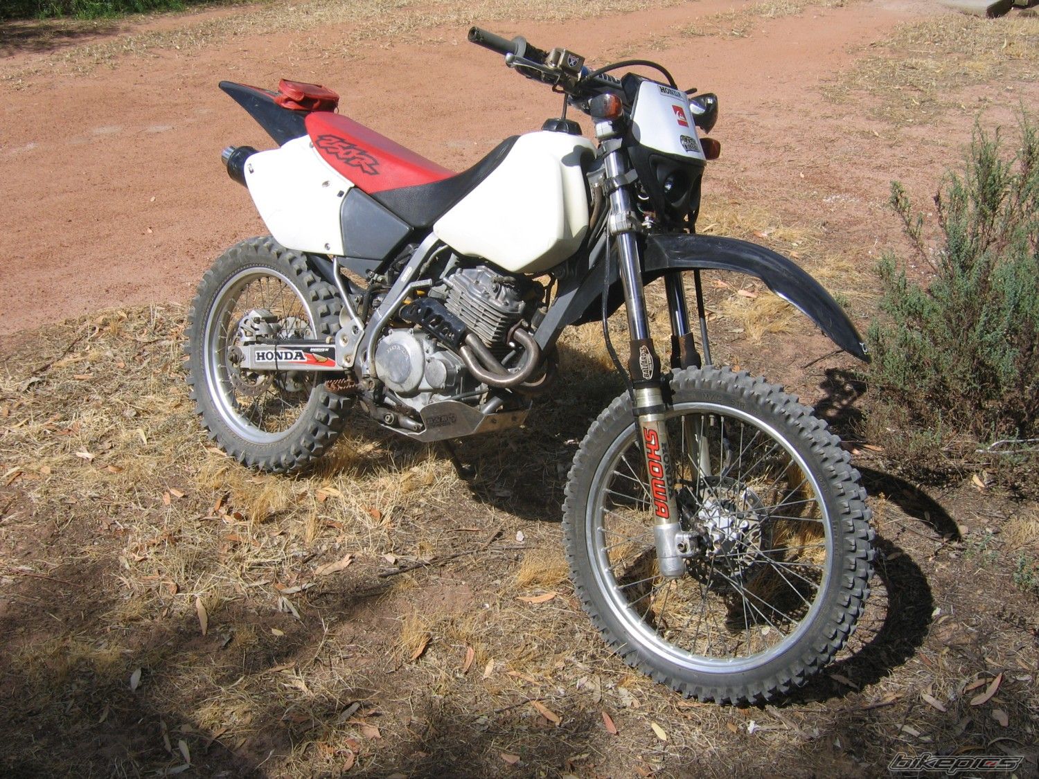 Bike Photo 838276