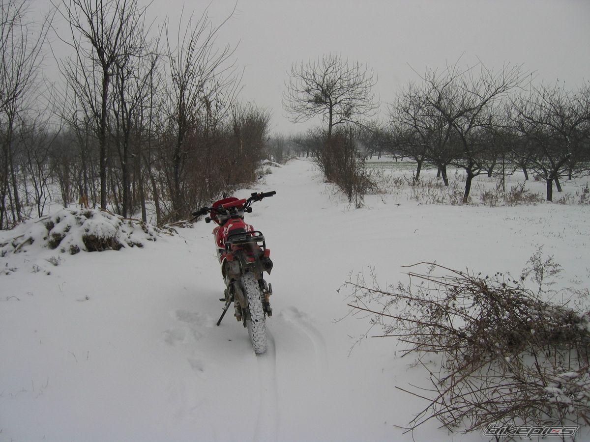 Photo 838372