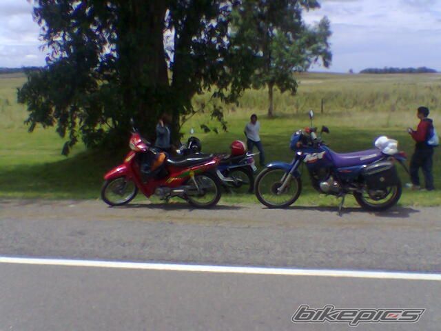 Photo 838547