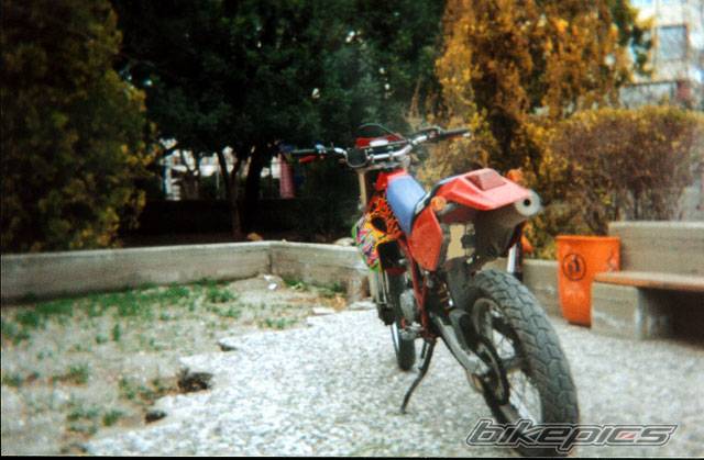 Photo 83869
