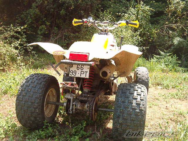 Photo 83881