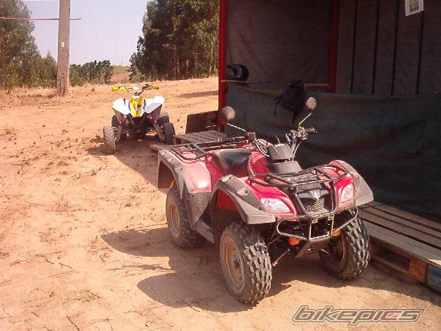 Photo 83889