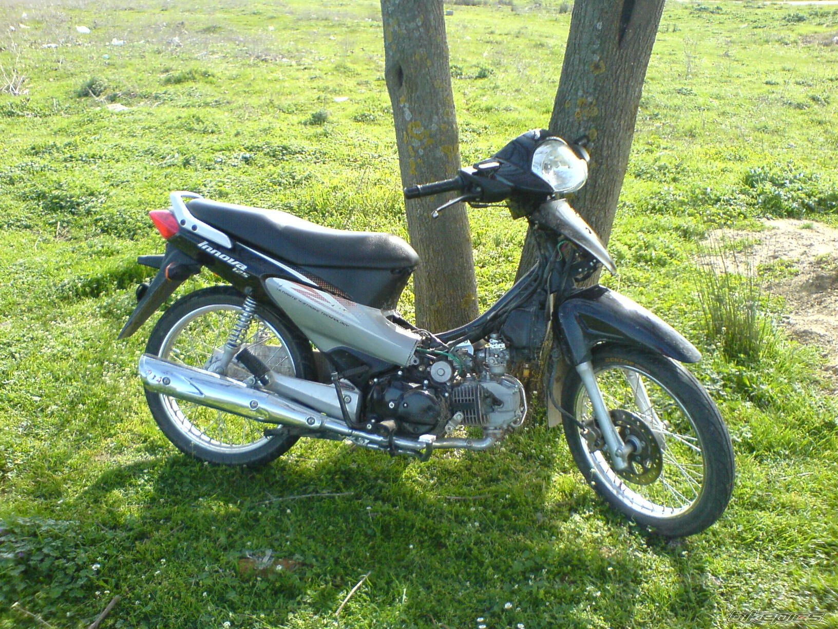 Photo 839181