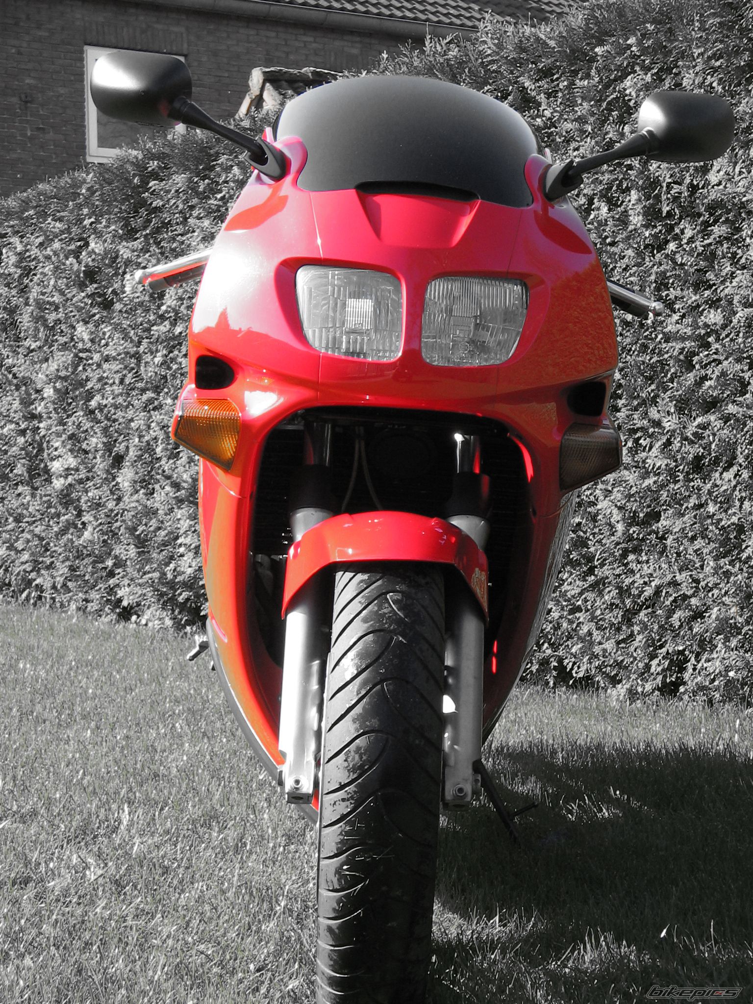 Photo 840226