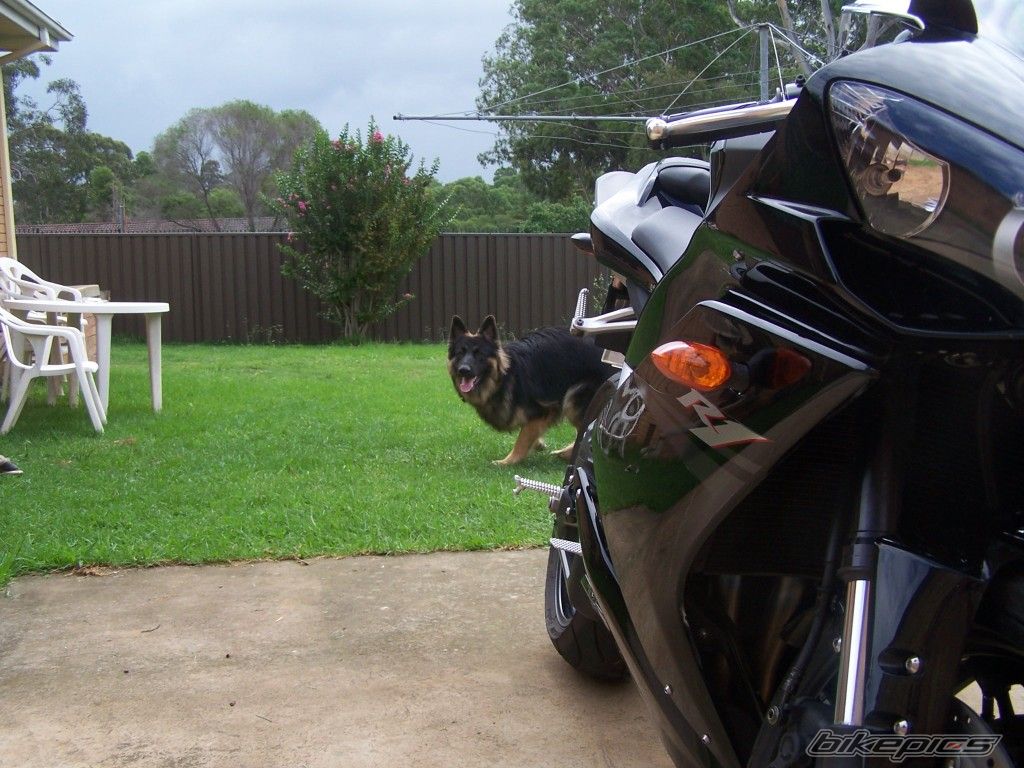 Bike Photo 840382