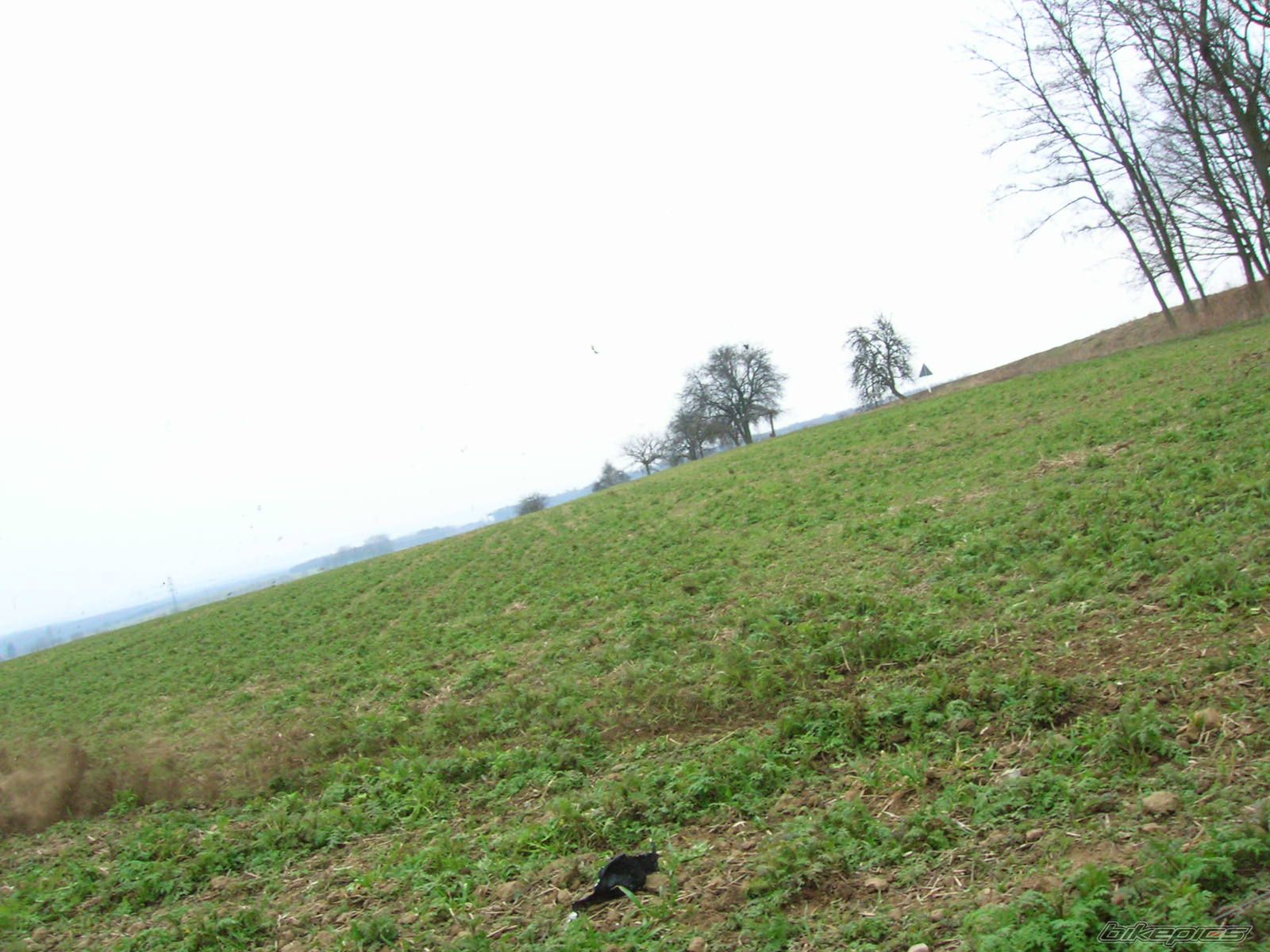 Photo 840403