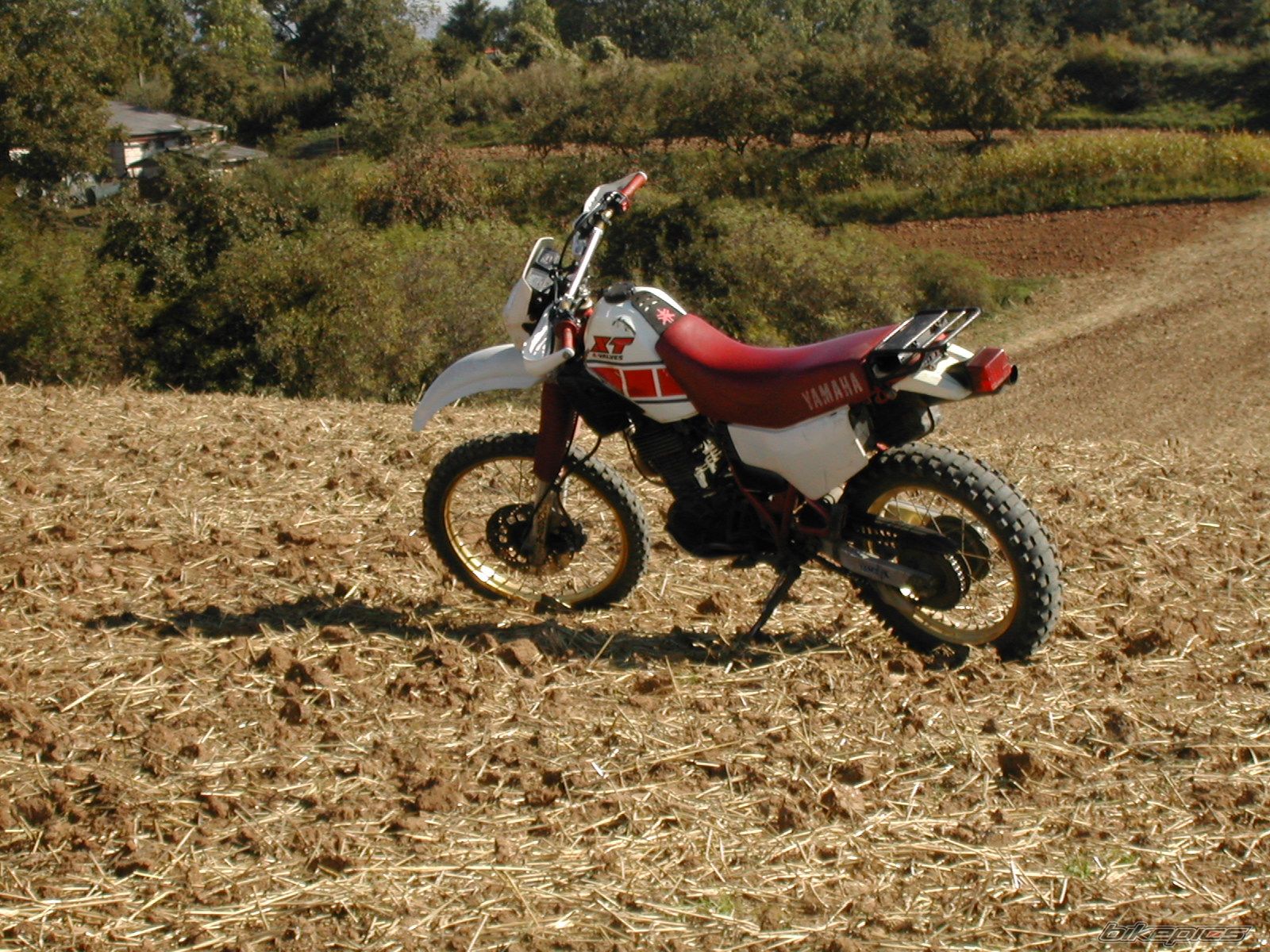 Photo 840423