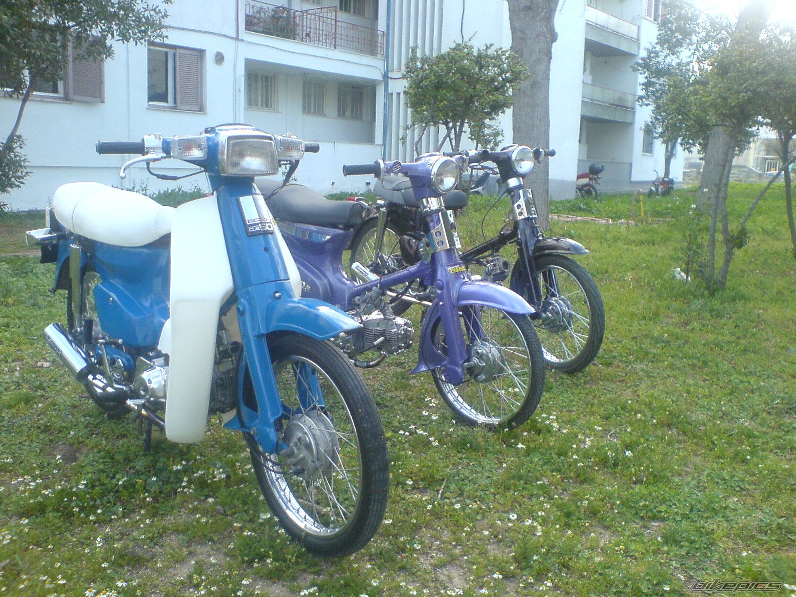 Photo 840924