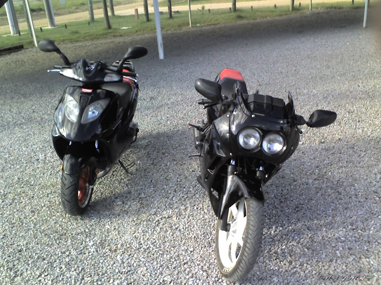 Photo 841426