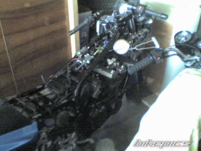 Photo 841489