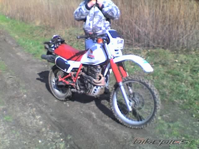 Photo 841497