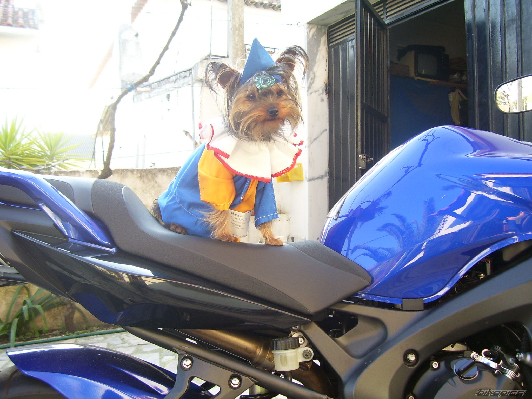 Bike Photo 841563