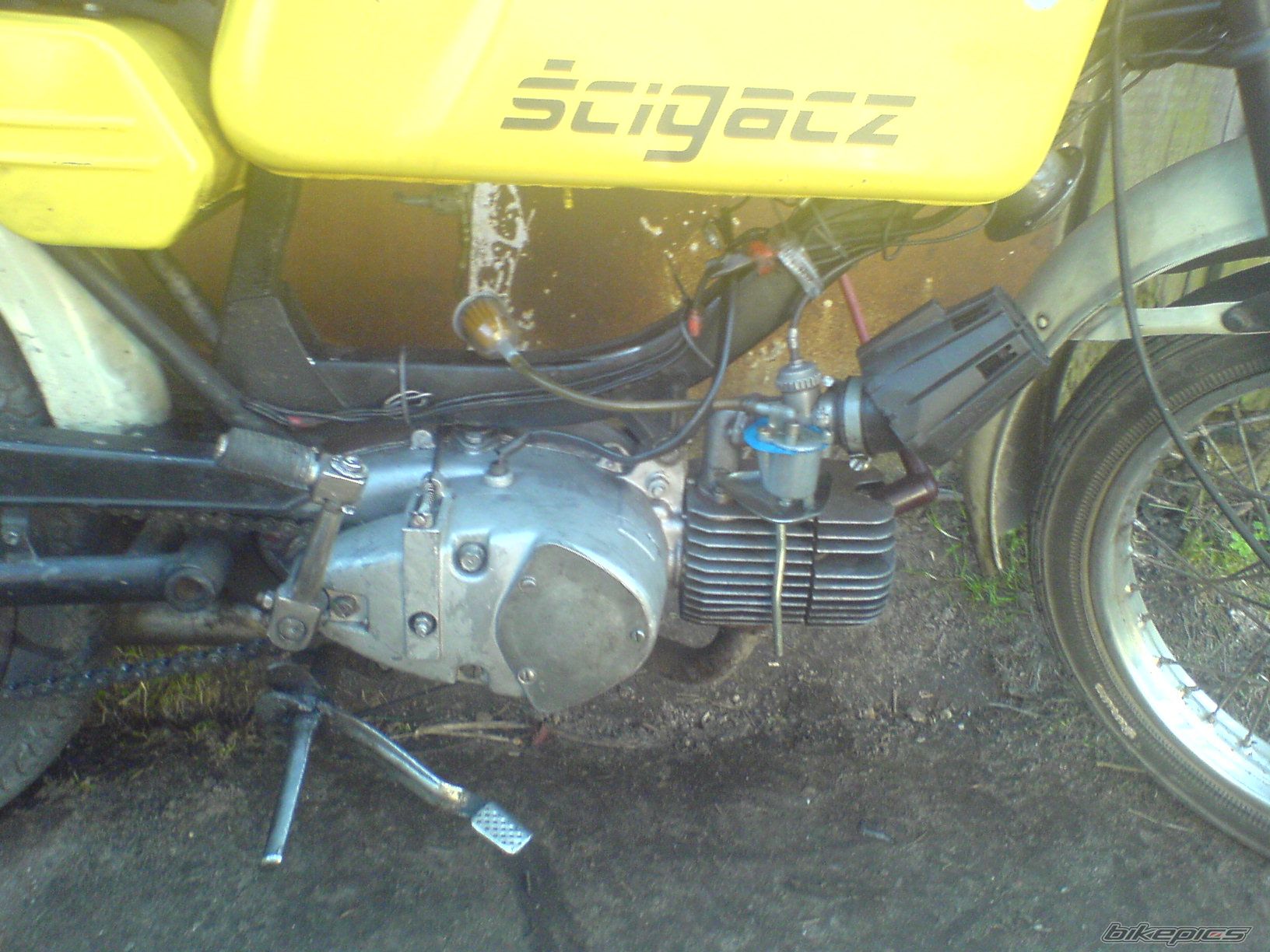 Photo 842202