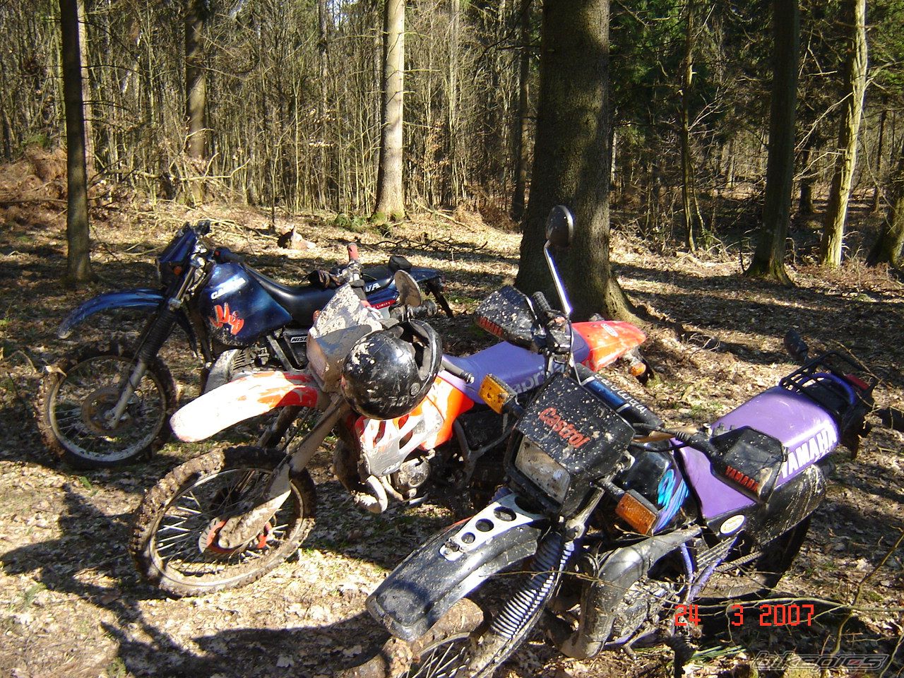 Photo 842246