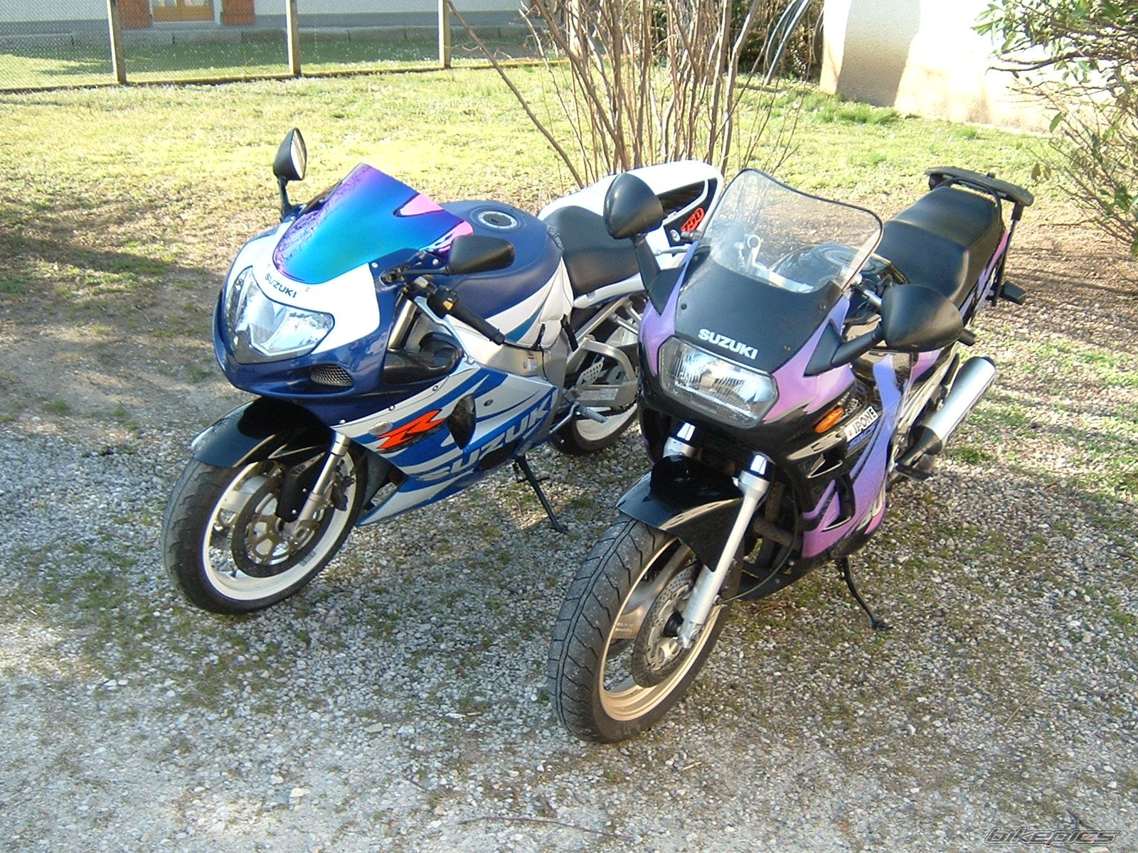 Photo 842868