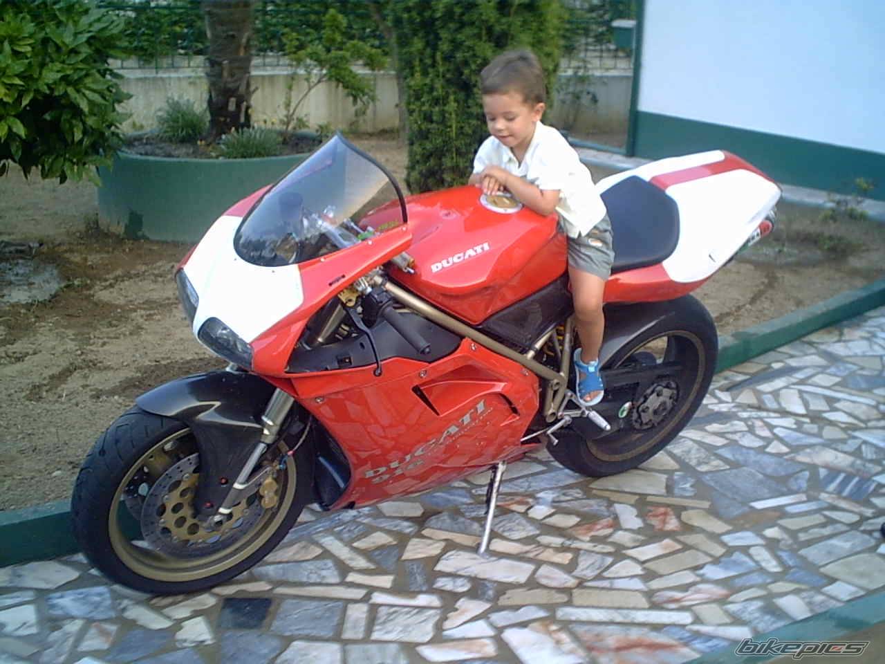 Photo 84292