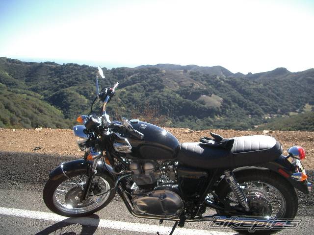 Photo 84302