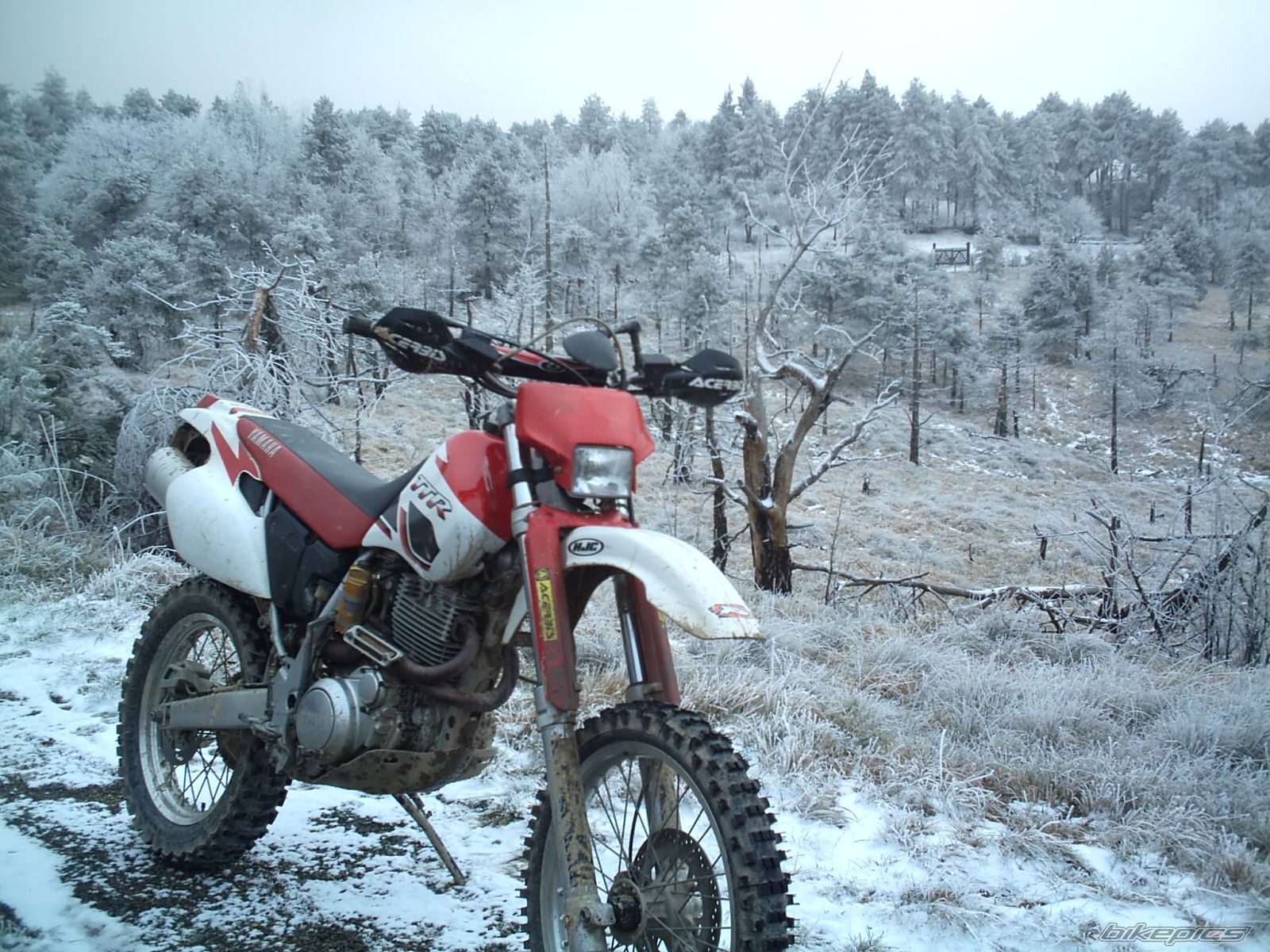 Photo 843545