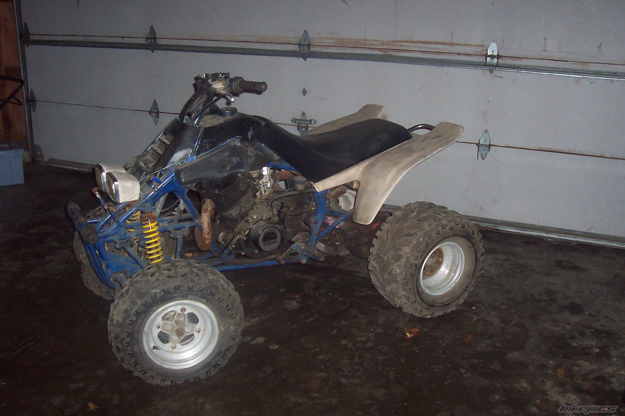 Photo 843647
