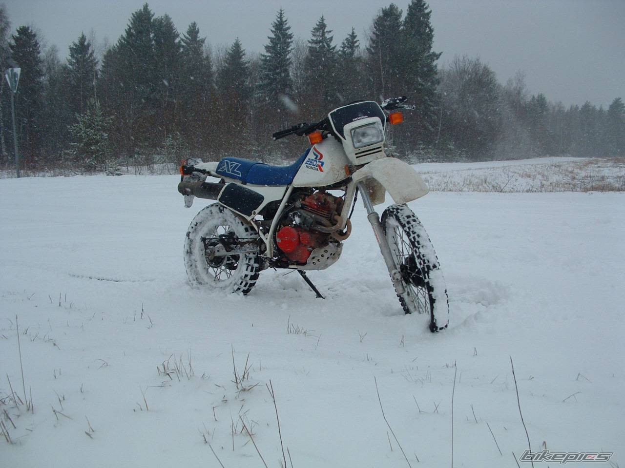 Bike Photo 84387