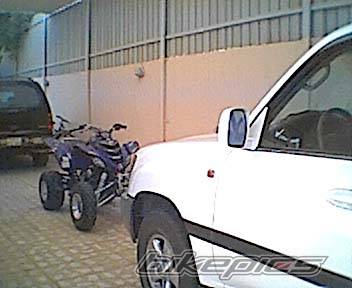 Photo 84452