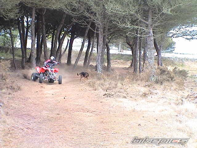 Photo 844947