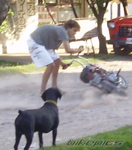 Photo 845526