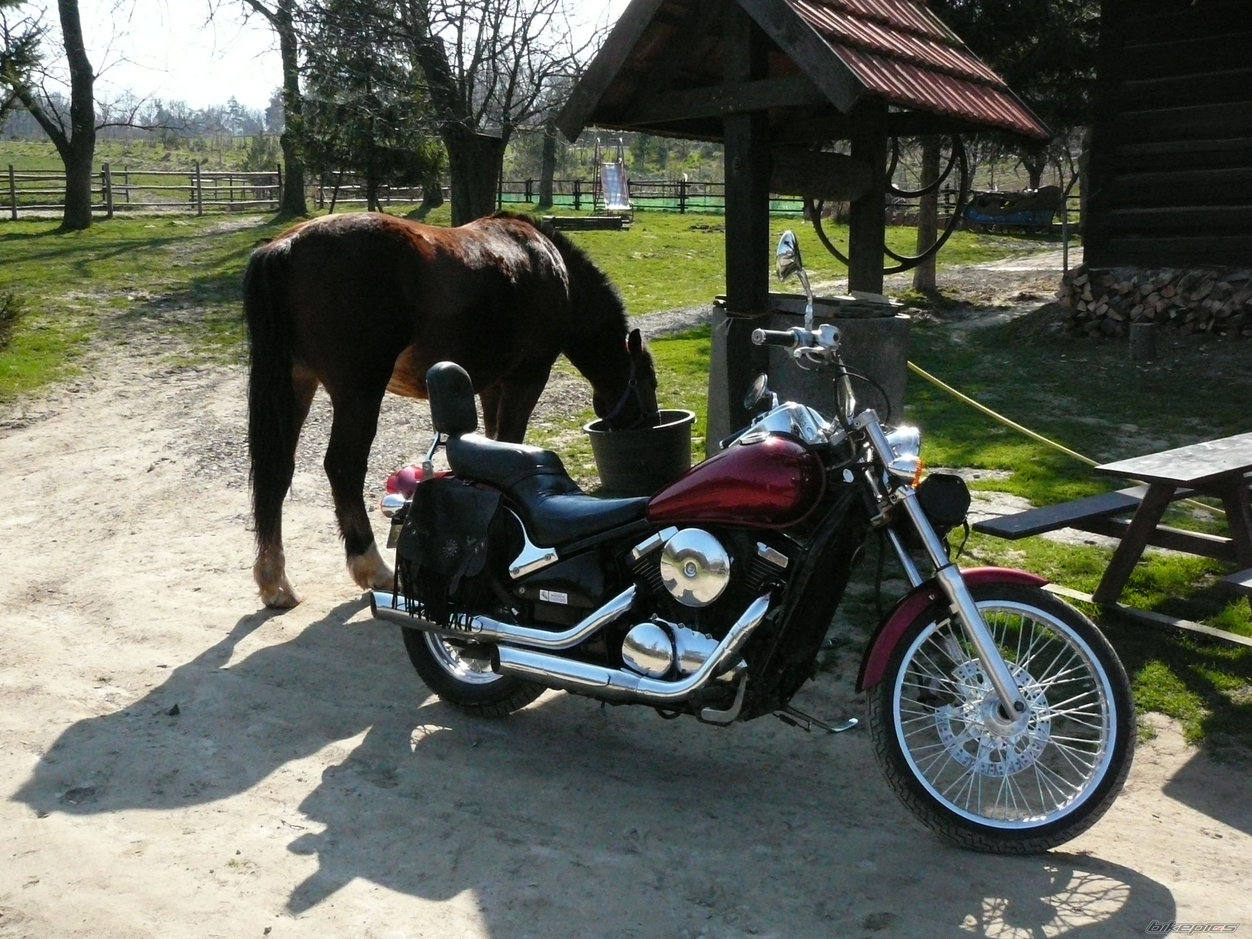 Photo 846239