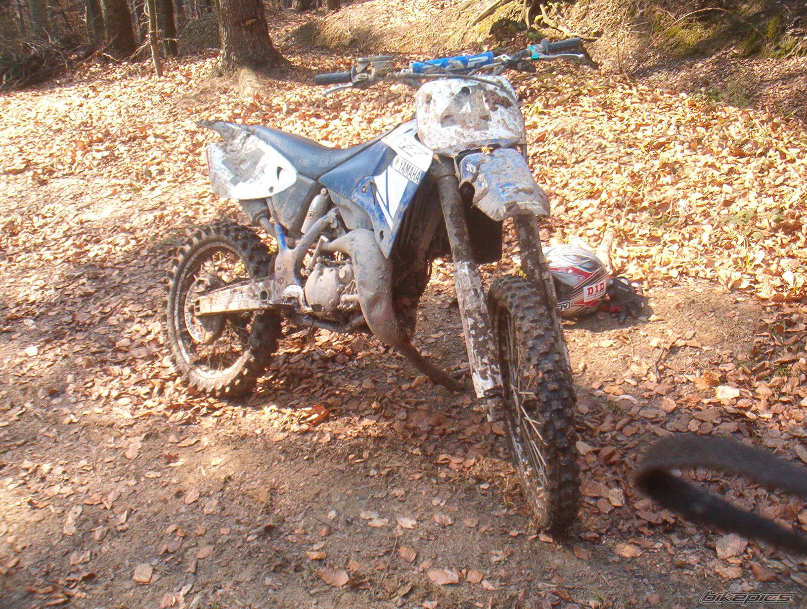 Bike Photo 846285