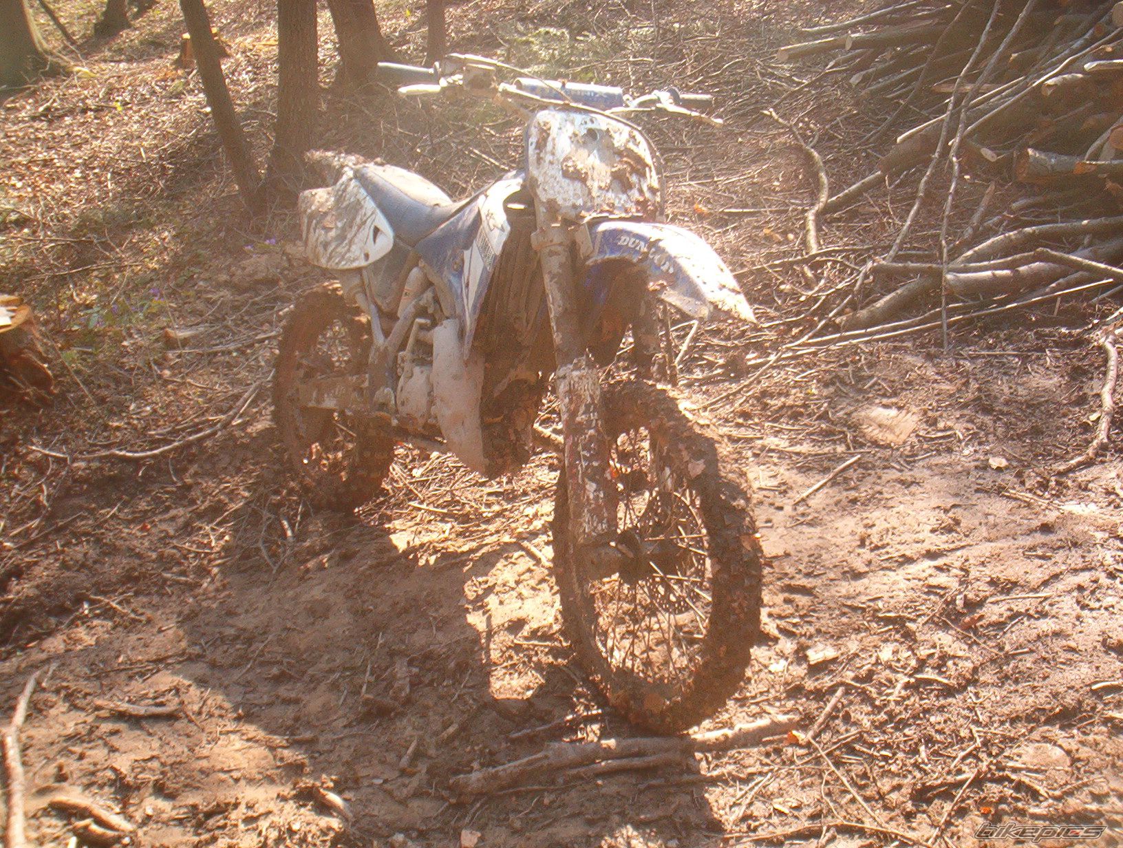 Bike Photo 846293
