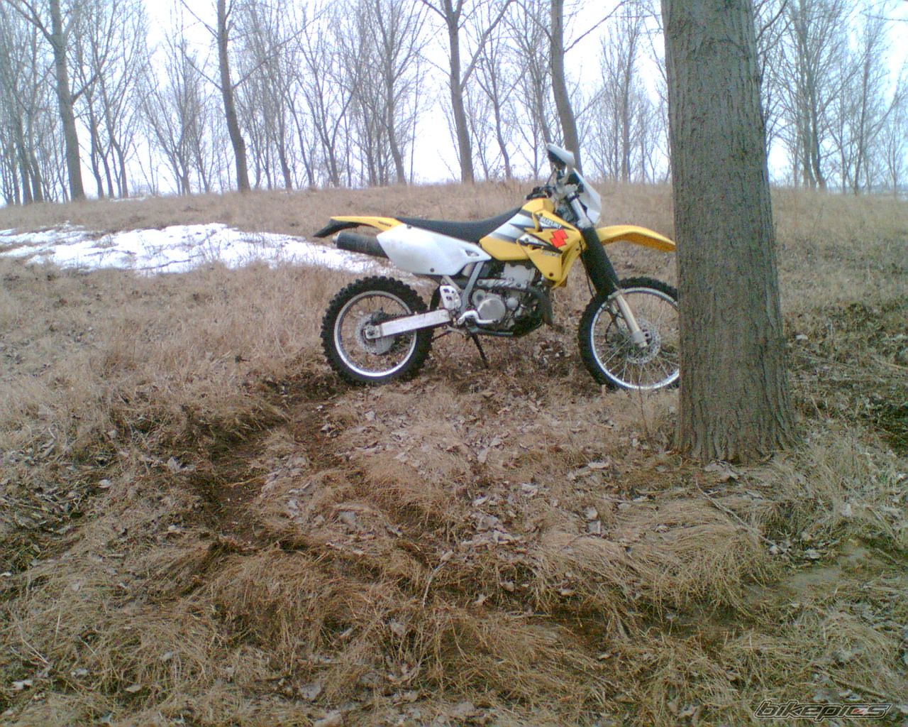 Bike Photo 846701