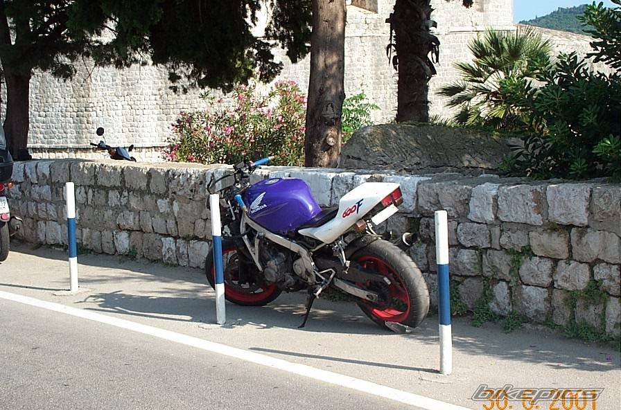 Photo 8468