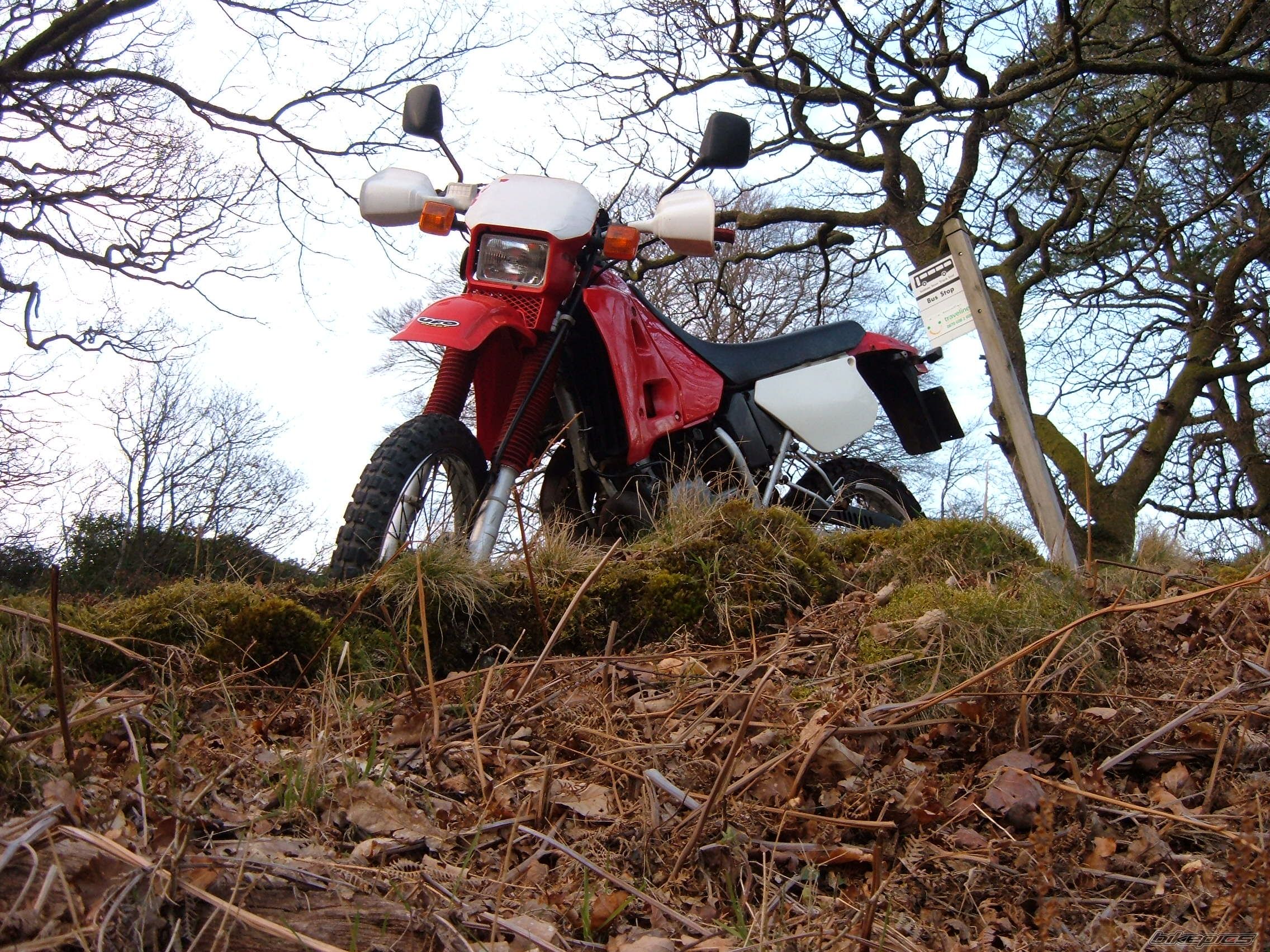 Bike Photo 846991