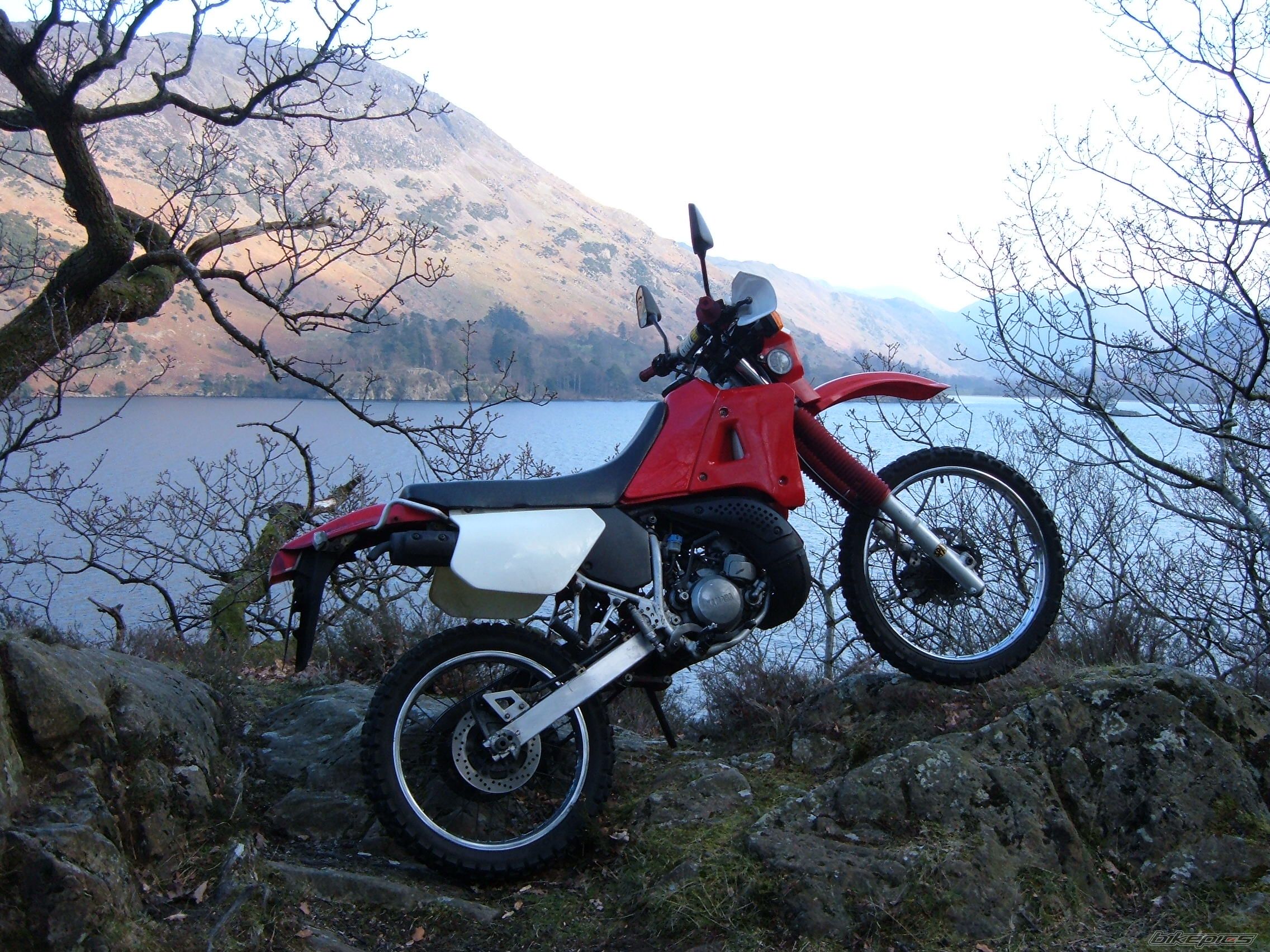 Bike Photo 846994