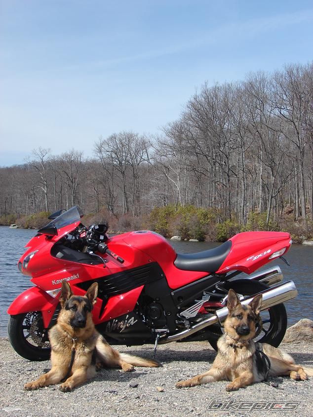 Bike Photo 847250