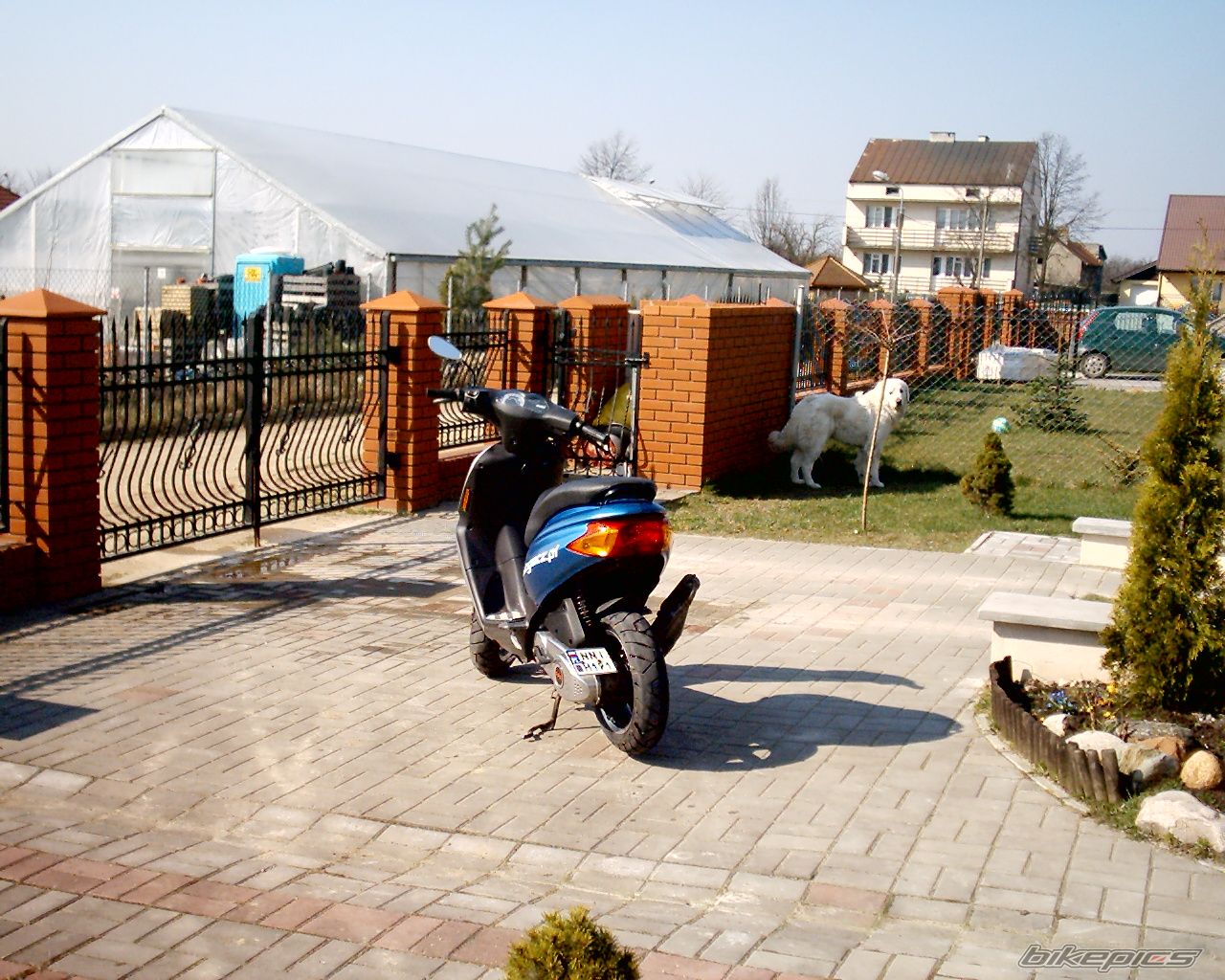 Photo 847556