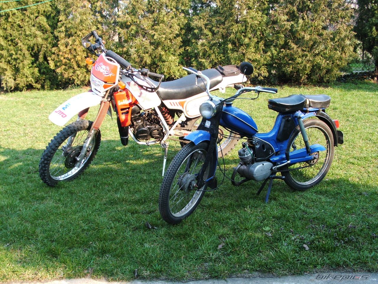 Photo 847812