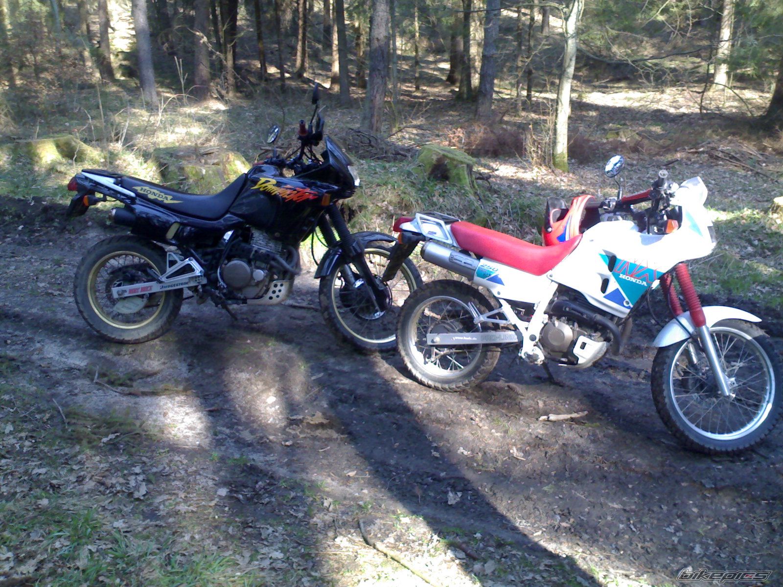 Bike Photo 847880
