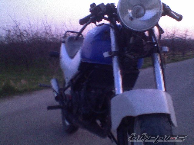 Photo 848060