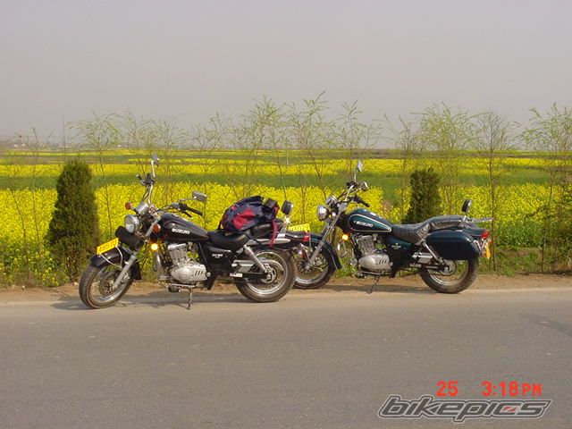 Photo 848630