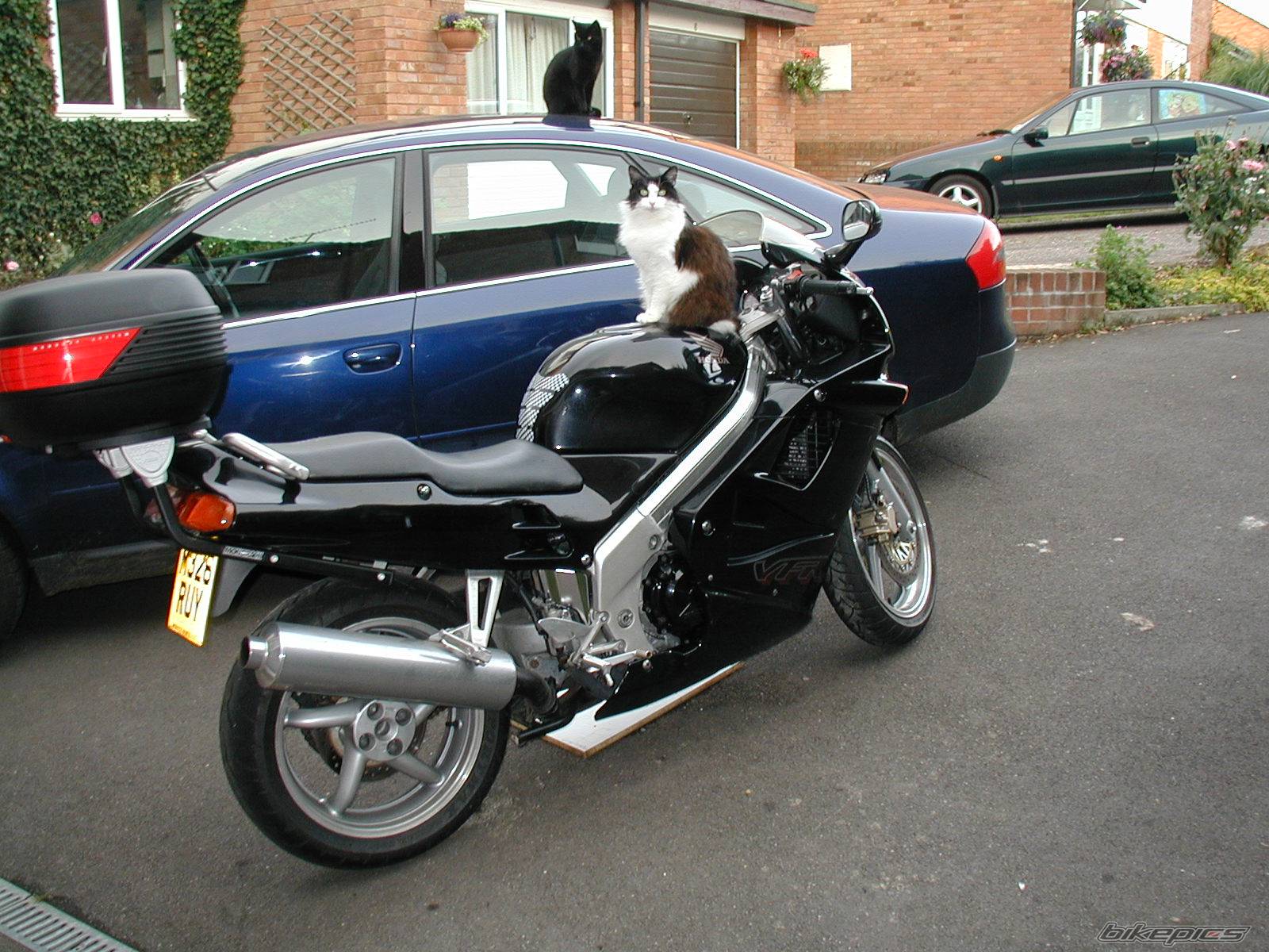 Bike Photo 84900
